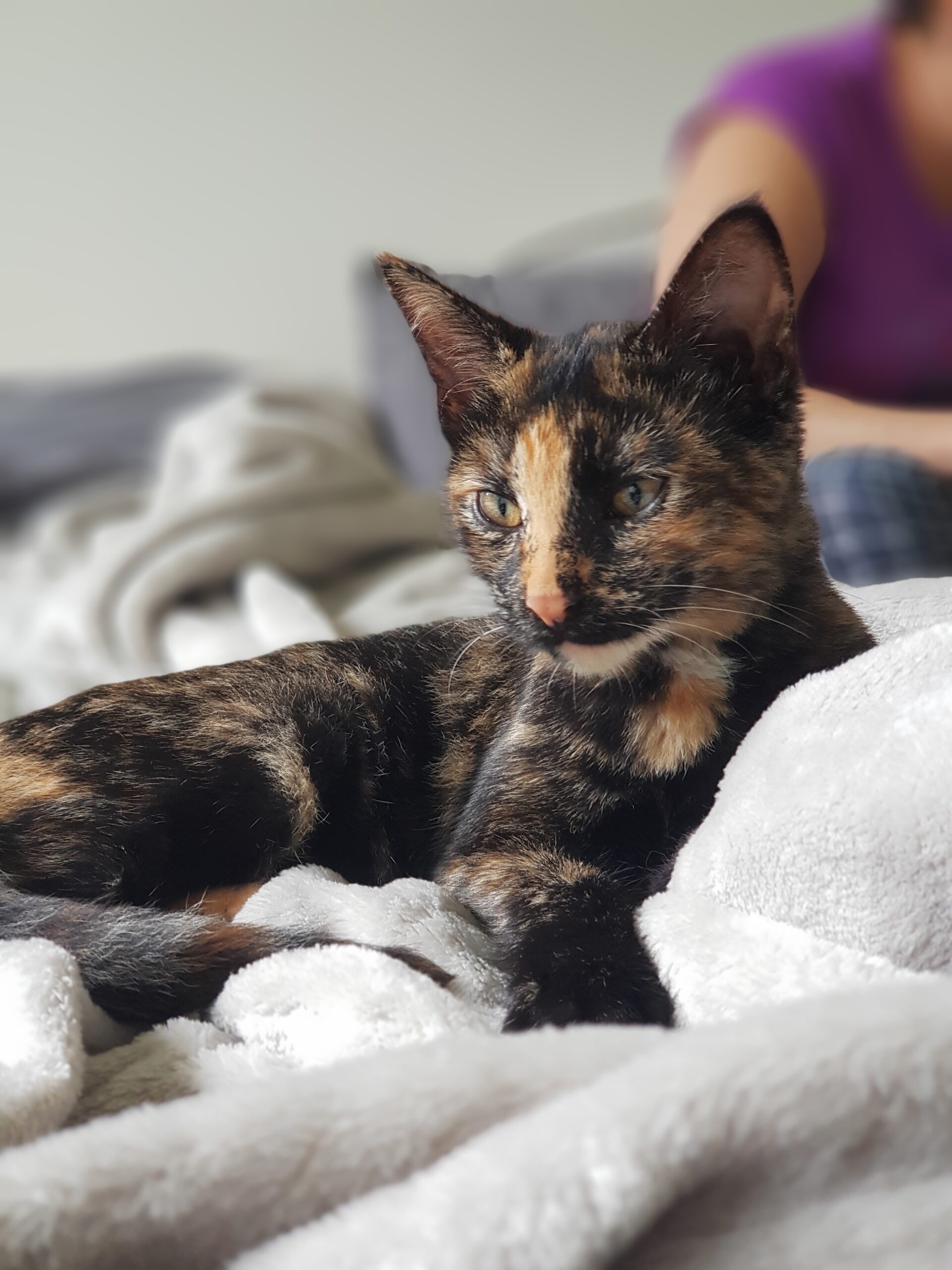 Uke Mochi, nuestra musa